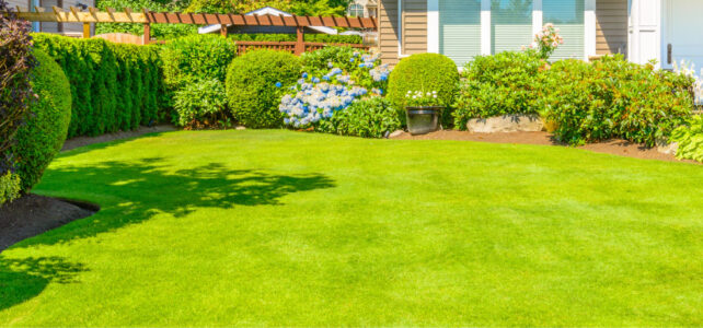 7 Tips for a Greener, Healthier Lawn