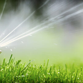 How to Reduce Water Consumption and Still Have a Healthy Lawn