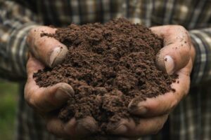 Man with a handful of quality soil