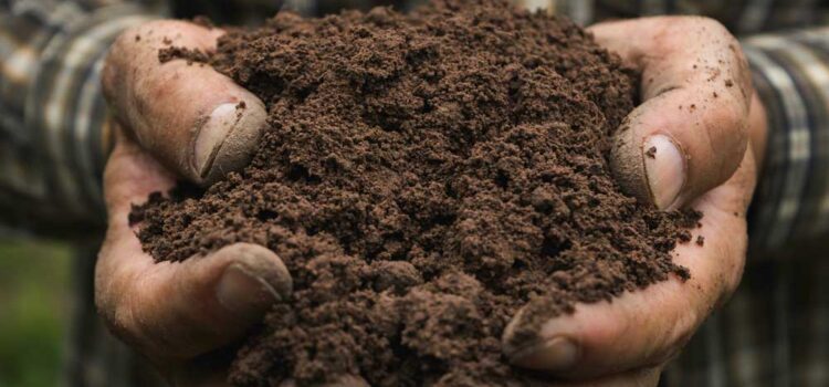 Man with a handful of quality soil