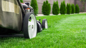 close up of lawn mower mowing grass. Utah landscaping concept