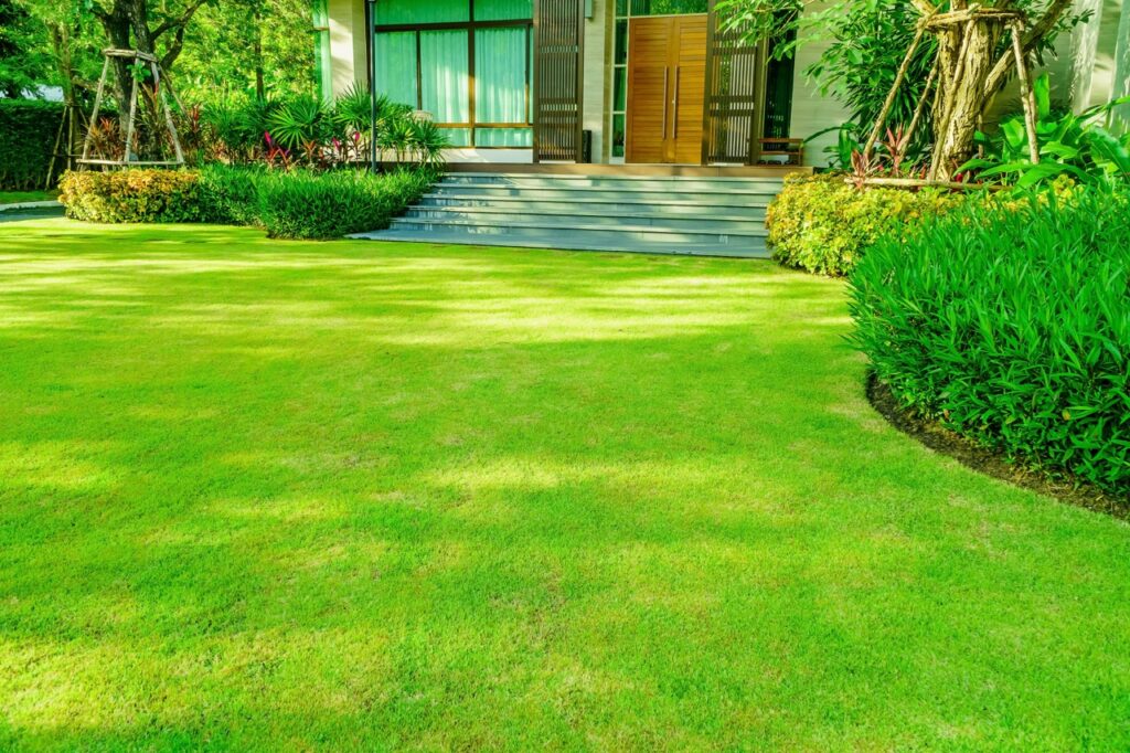gorgeous green front lawn