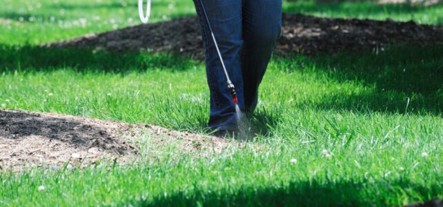 lawncare professional spraying for pests