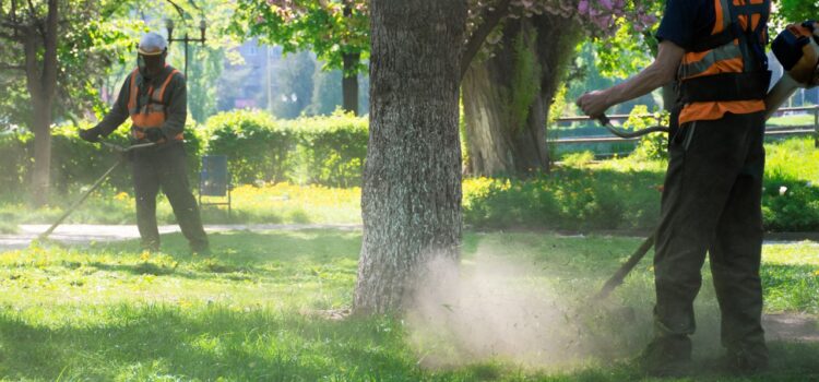 lawn care professionals spraying grass