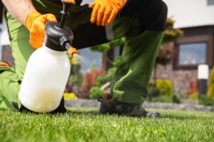 lawncare pro sprays lawn for pests