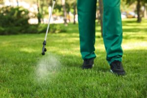 A man in green pants uses a spray hose on a lawn.