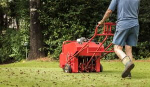 A man aerates his lawn with a lawn aerator.