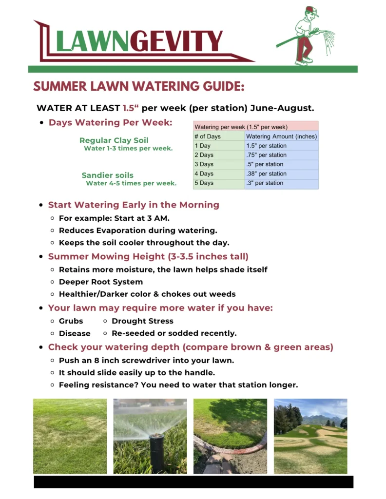 Summer Watering Guide from Lawngevity